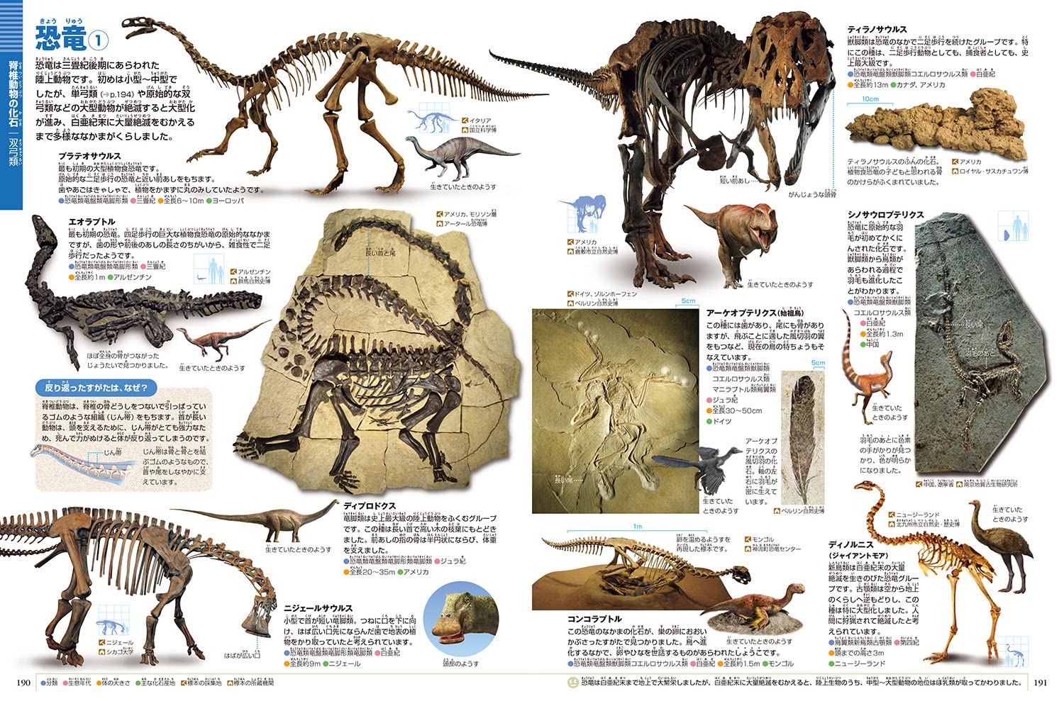図鑑8冊セット 人体.動物.植物.魚.星と星座.くらべる図鑑.岩石 図書 図鑑 図鑑8冊セット 人体.動物.植物.魚.星と星座.くらべる
